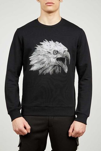 Sweatshirt Eagle Crystal